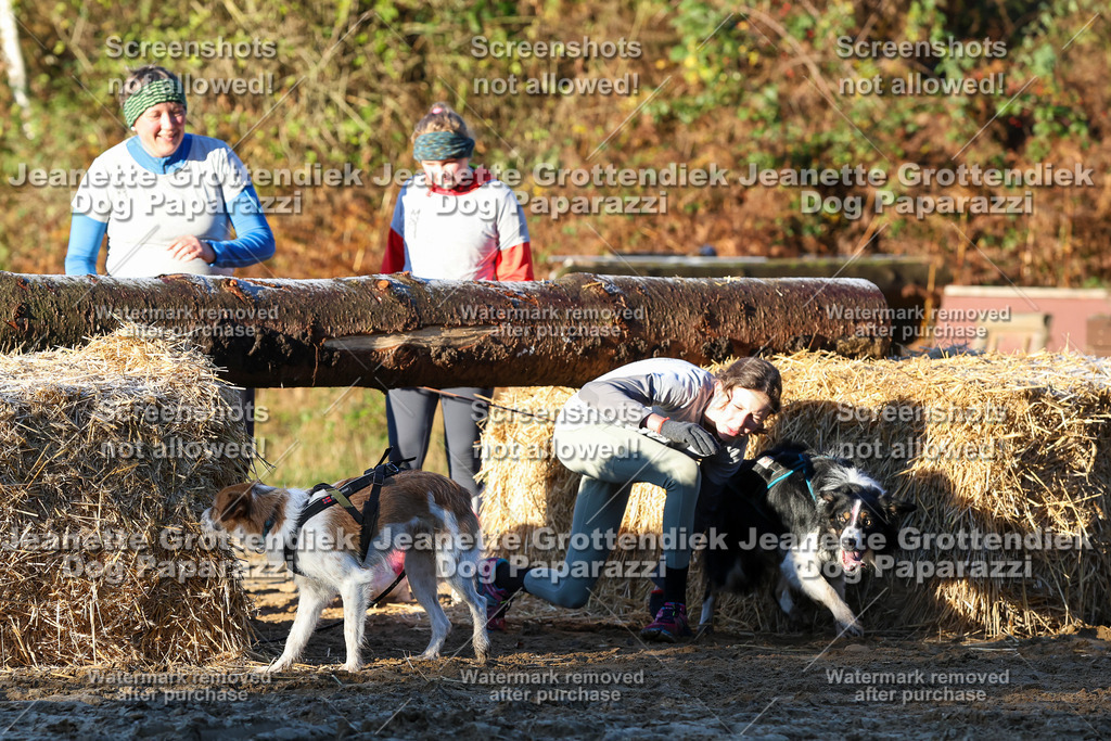 Dog Paparazzi - Strongdog 10-25-786 | Dog Paparazzi Jeanette Grottendiek Fotografie & Videografie - Realisiert mit Pictrs.com