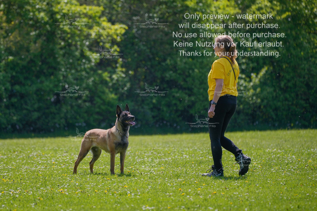 Sa_Gehorsam_02-16 | stephaniefillaphotographie - Realisiert mit Pictrs.com