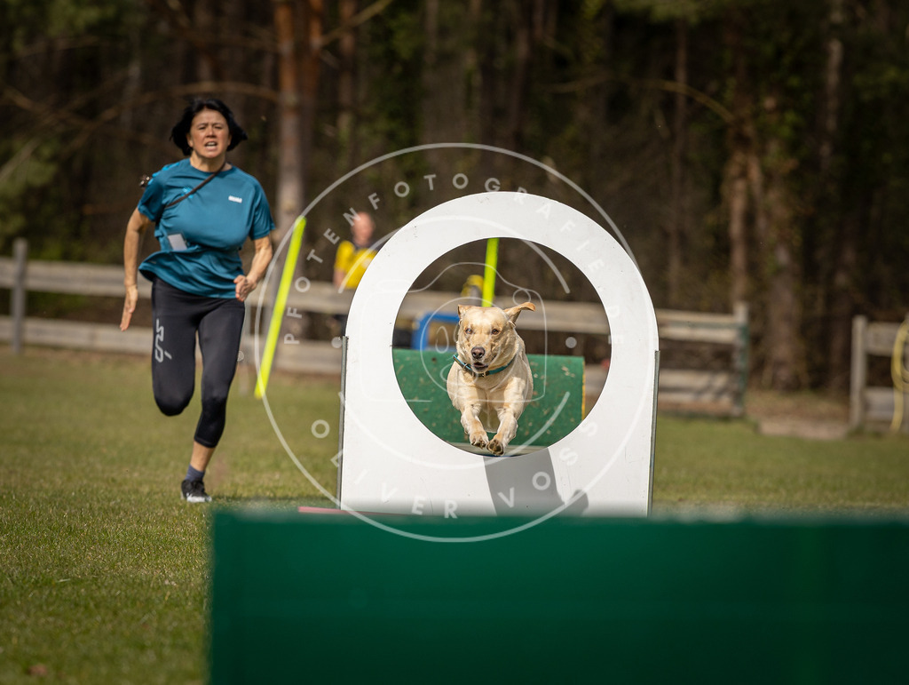 Pfotenfotografie_DV3A8360 | Hundefotografie, Tierfotograf, Pfotenfotografie, Fotoshooting Hund, Hunde Portrait, Hundesport, Hundeportraits, Heideshooting, Hunde, Sportfotograf, Hundefotograf, Turnierhundsport, THS,  - Realisiert mit Pictrs.com