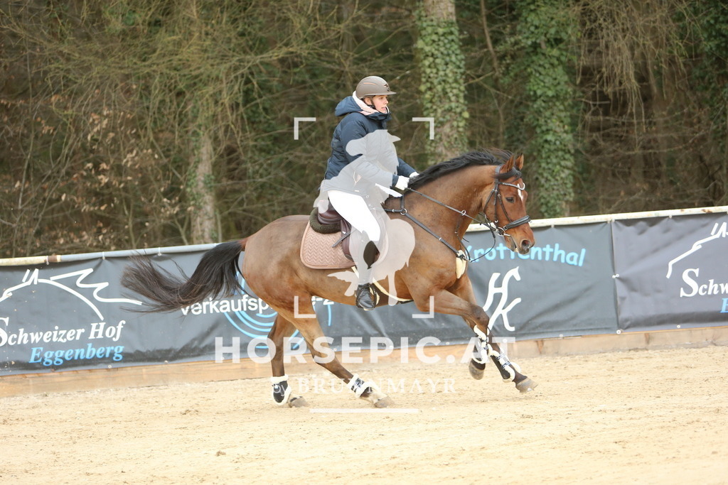 DL2Q6580 | Willkommen bei Brunnmayr - Design & Fotografie – Ihrem Spezialisten für Reitturniere und Pferdeveranstaltungen in Oberösterreich, Salzburg und Bayern! Seit über 17 Jahren sind wir leidenschaftlich dabei.