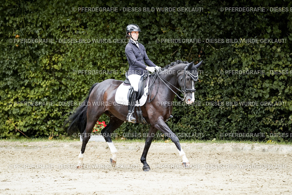 DSC06034 | Pferdegrafie