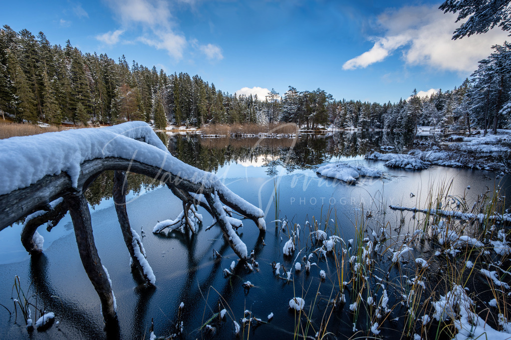 Möserer See | Winter am Möserer See