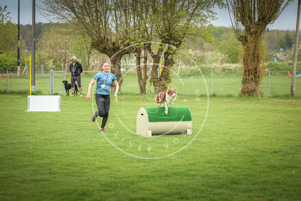 Pfotenfotografie_0L8A9406 | Hundefotografie, Tierfotograf, Pfotenfotografie, Fotoshooting Hund, Hunde Portrait, Hundesport, Hundeportraits, Heideshooting, Hunde, Sportfotograf, Hundefotograf, Turnierhundsport, THS,  - Realisiert mit Pictrs.com