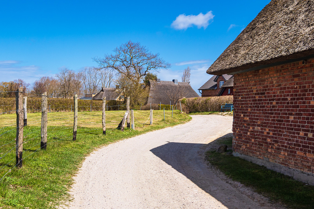 Weg mit Zaun und Häusern in Ahrenshoop auf dem Fischland-Darß | Weg mit Zaun und Häusern in Ahrenshoop auf dem Fischland-Darß.