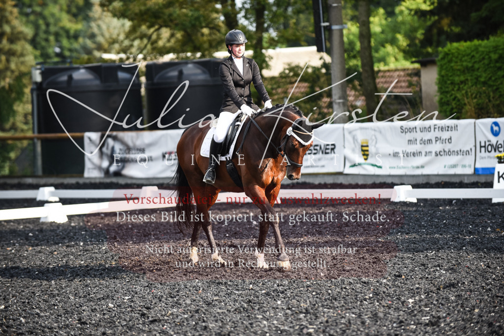 DSC_3324 | Pferde- und Turnierfotografie in Westsachsen. Pferdeportraits, Auftragszeichnungen und intuitive Kunst.