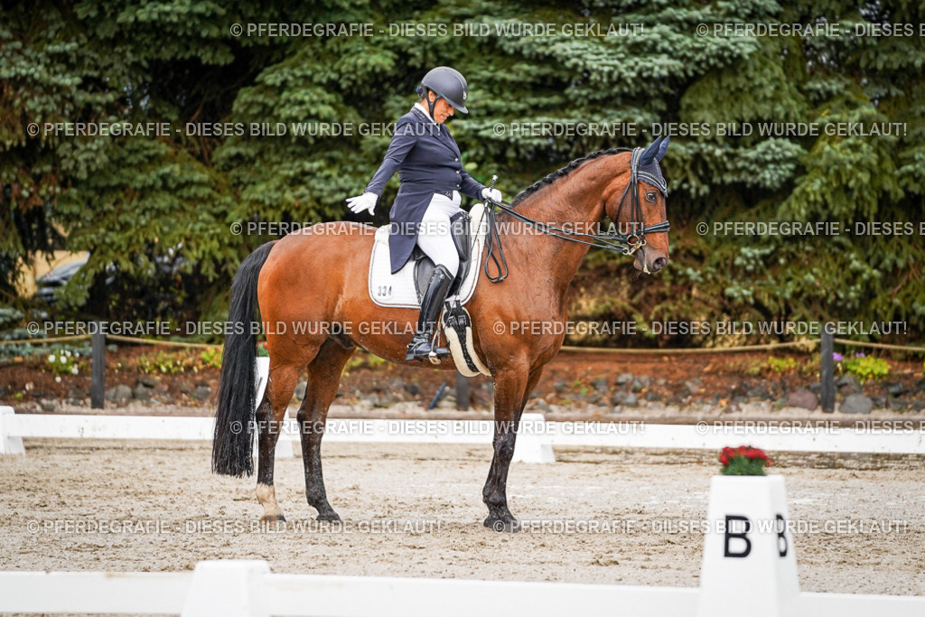 DSC09628 | Pferdegrafie