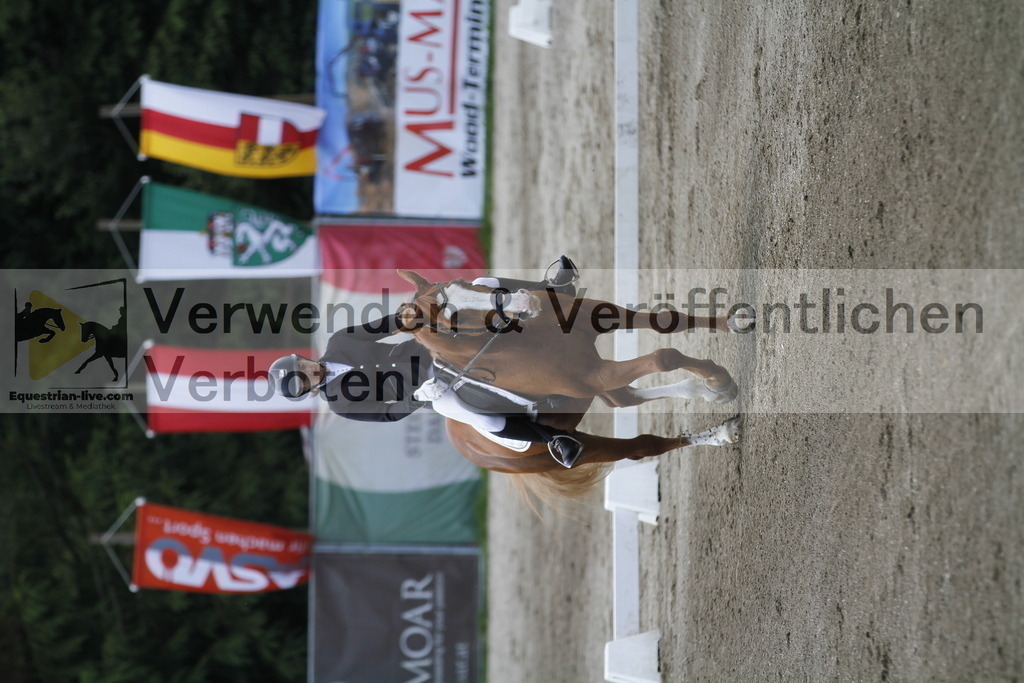 _MG_1316 | equestrian-live-com