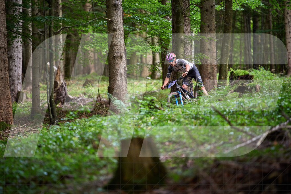 Betriebszentrum Laubenbachmühle, Frankenfels, Österreich - 13. September 2025: Dirndltal Race - Fun und Trophy RaceFotograf: Martin Bihounek / martinbihounek.com | 13. September 2025 Betriebszentrum Laubenbachmühle, Frankenfels, Österreich : Dirndltal Race - Fun und Trophy Race •••••Photo by: Martin Bihounek / martinbihounek.comInsta: @martinbihounekcom