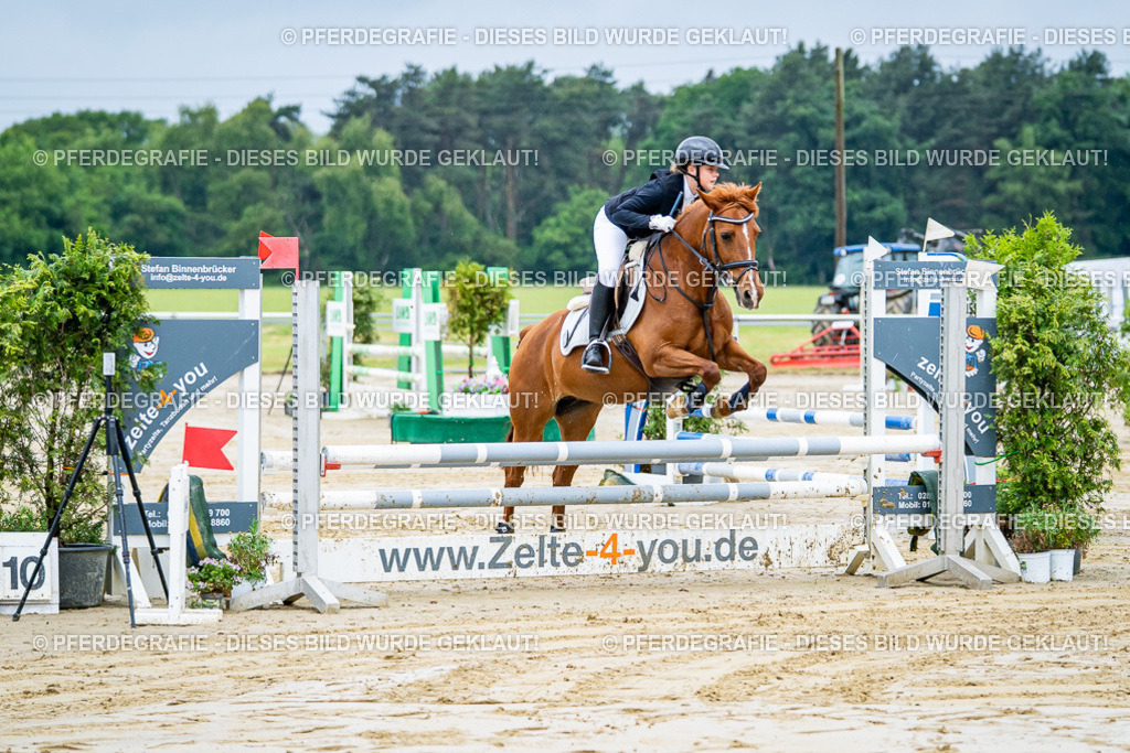 DSC01255 | Pferdegrafie