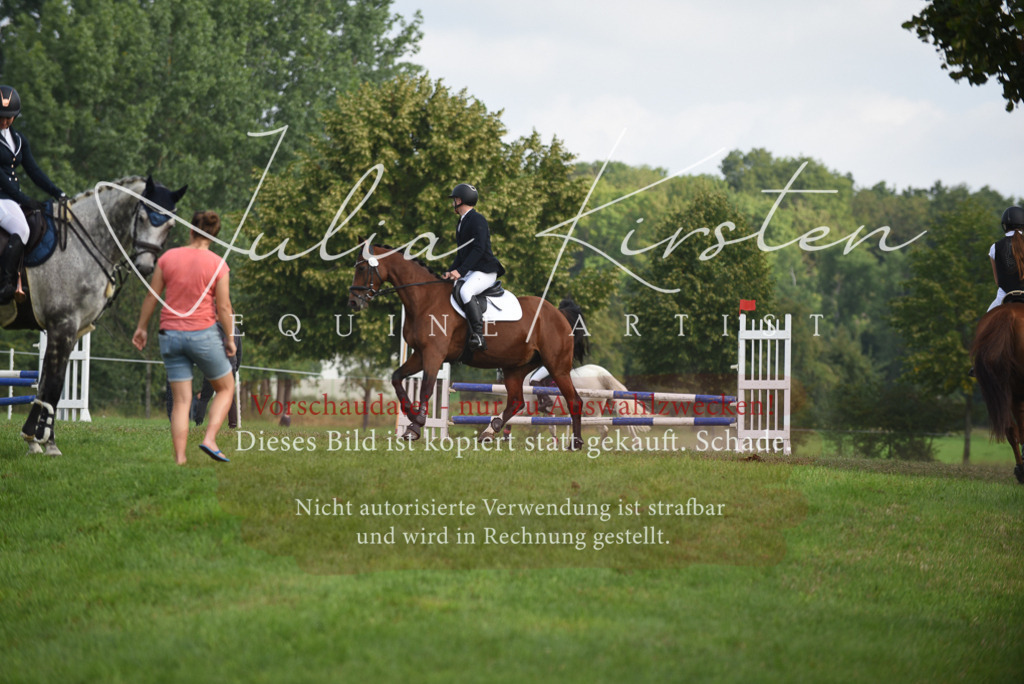DSC_8618 | Pferde- und Turnierfotografie in Westsachsen. Pferdeportraits, Auftragszeichnungen und intuitive Kunst.