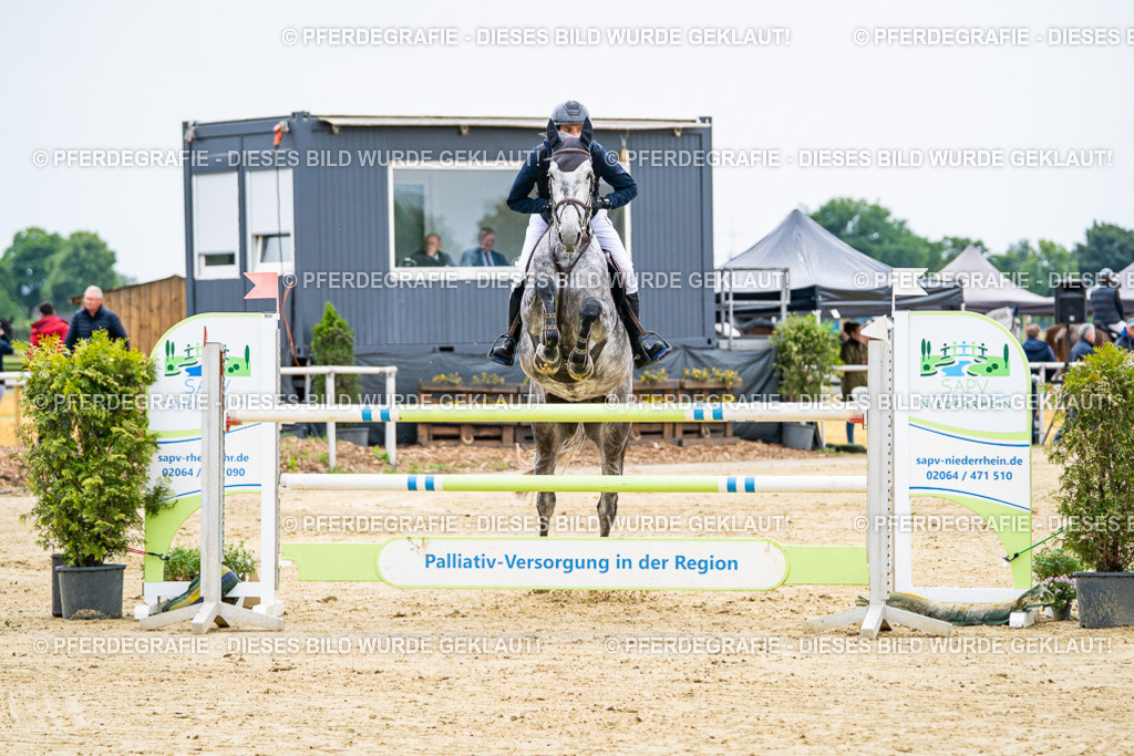 DSC06645 | Pferdegrafie