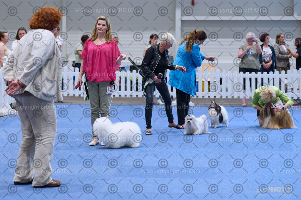 202406_ÖKV-IHA-Tulln24_DSC_4192 | proPHOTO - Realisiert mit Pictrs.com