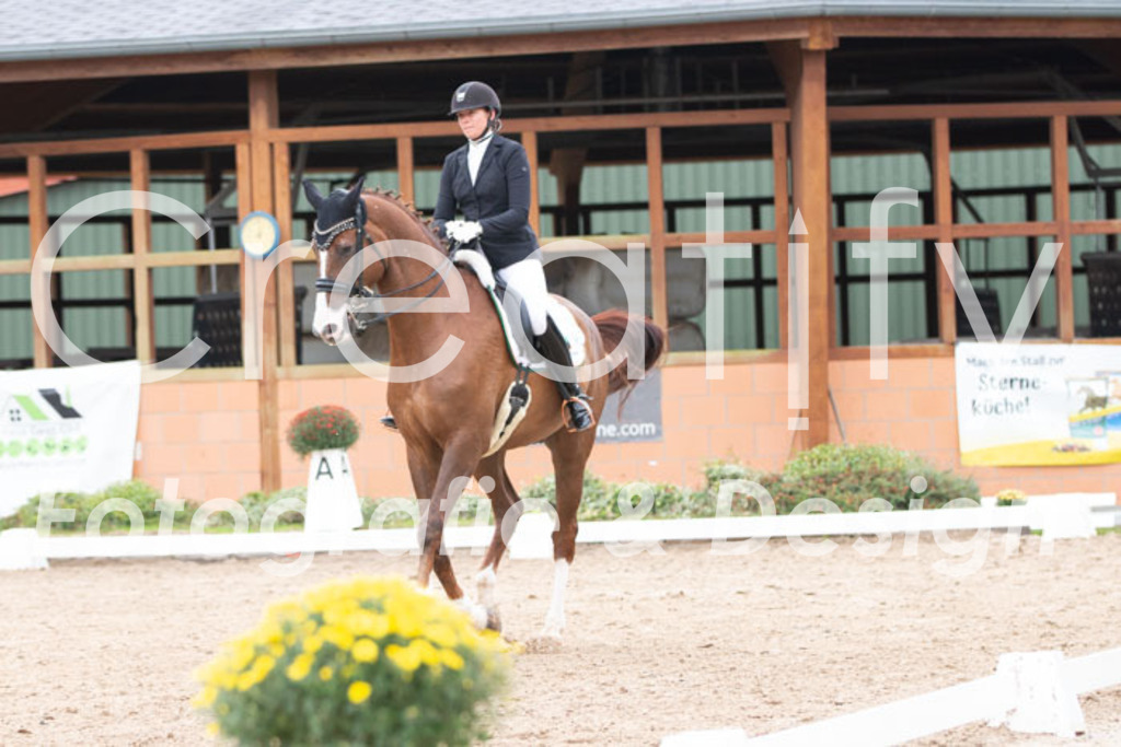 IMG_7254 | Creatify Fotografie