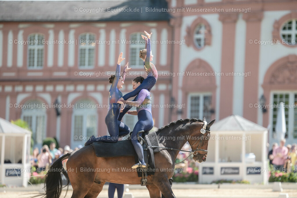 20230528_Voltigieren_NASPA_0460 | equistock