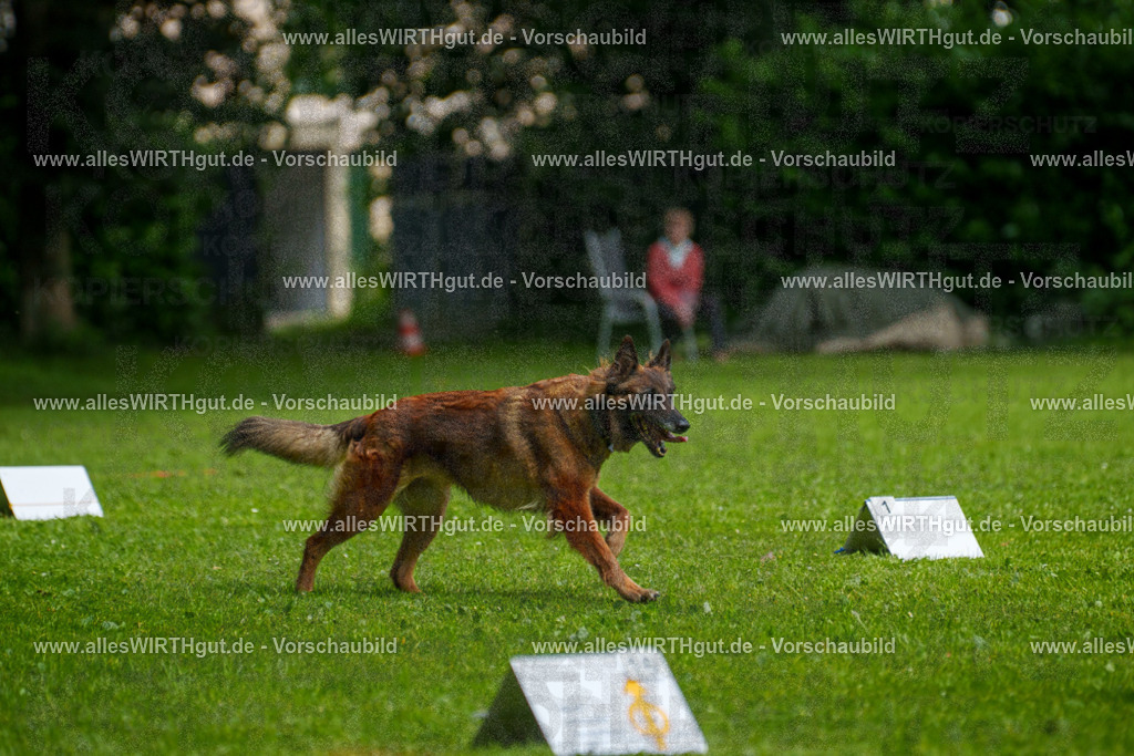 @allesWIRTHgut_Tierfotografie - www.allesWIRTHgut.de - 7R503744 | Professionelle Tierfotografie in Mönchengladbach von Daniel Wirth (allesWIRTHgut). Liebevolle & natürliche Bilder von Hunden & Katzen für unvergessliche Erinnerungen.