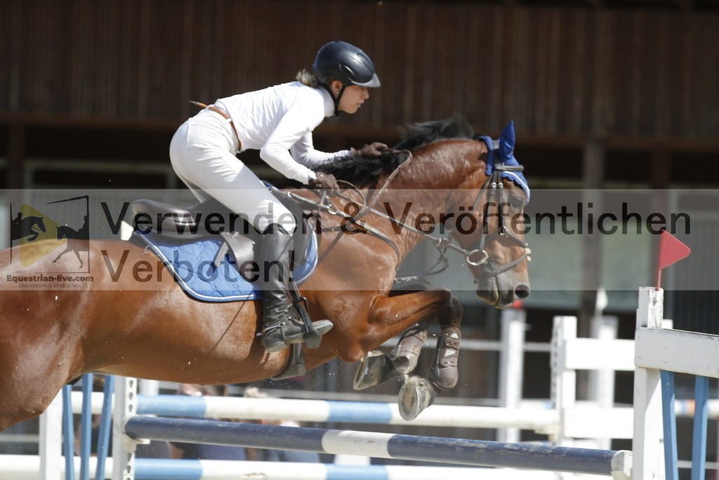 _MG_5059 | equestrian-live-com
