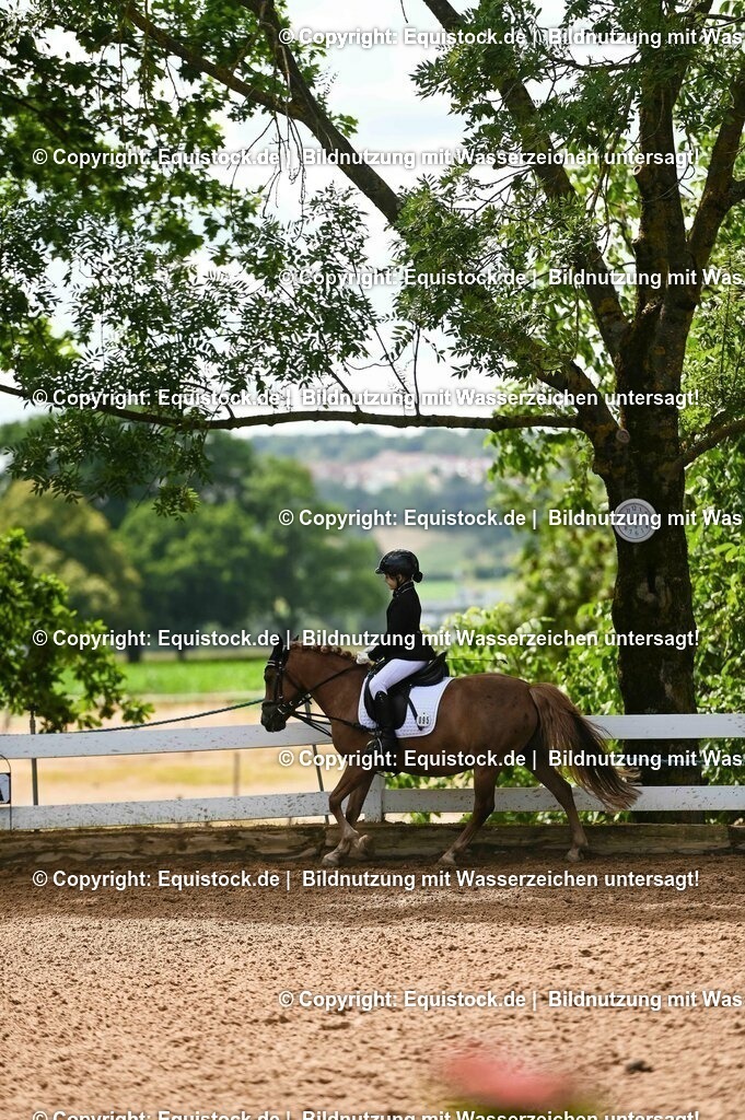 20230716_10-3_Reiter-WB Schritt - Trab - Galopp_0162 | equistock