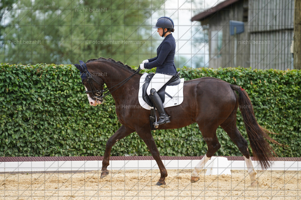20240630-FAH02172 | Turnierbilder Schwabmünchen, Dressurbilder, Springreitturnier, Reitsportbilder, Turnierfotografen Bayern, Turnierfotograf