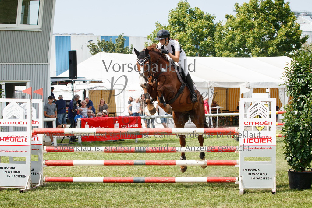 IMG_3438 | P. Berger Fotografie - Realisiert mit Pictrs.com