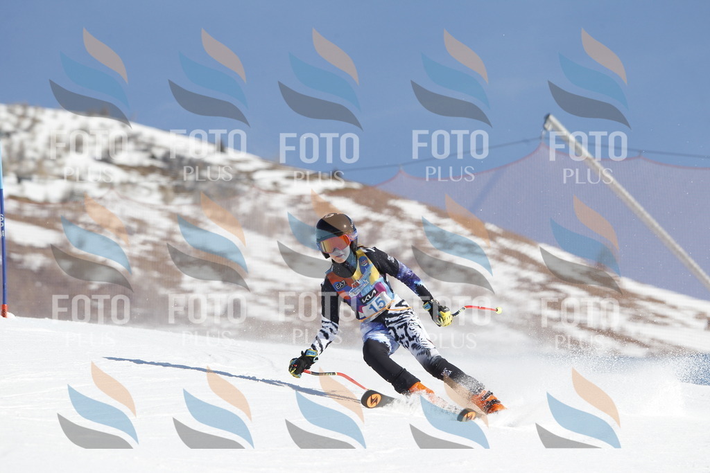 _U3G8748 | holidayphoto