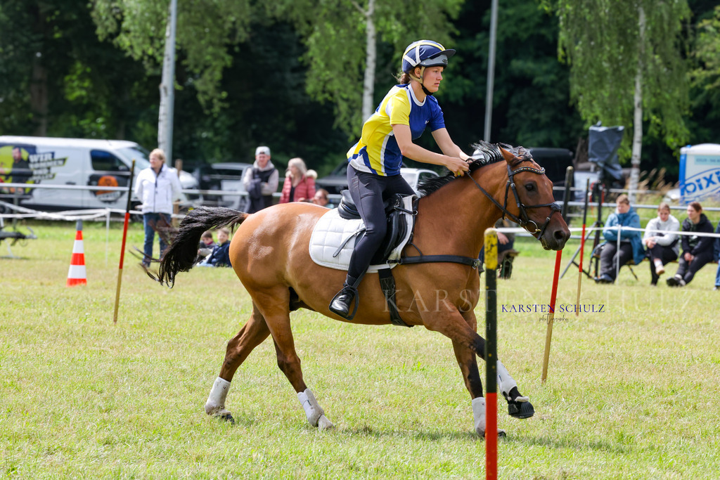 1B3A4561 | Reitsport Reiten