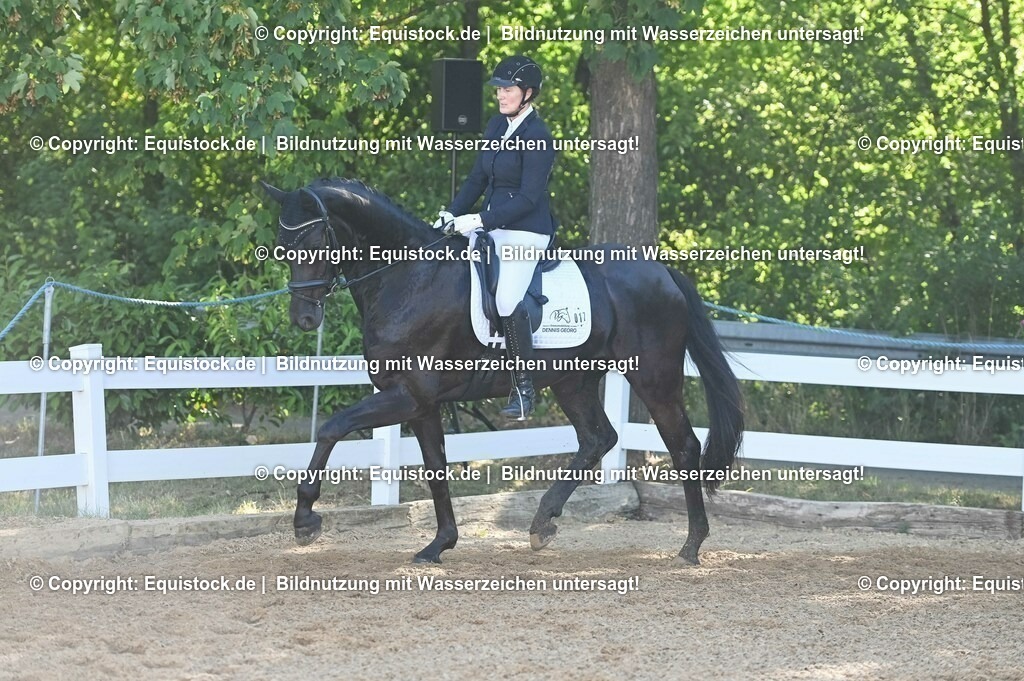 20230715_06_Dressurpferdeprfg. Kl.A_0010 | equistock
