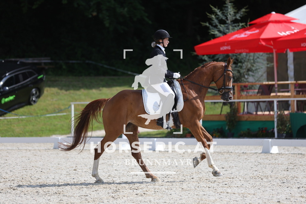 0P6A9013 | Willkommen bei Brunnmayr - Design & Fotografie – Ihrem Spezialisten für Reitturniere und Pferdeveranstaltungen in Oberösterreich, Salzburg und Bayern! Seit über 17 Jahren sind wir leidenschaftlich dabei.