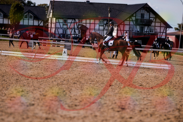 2026_10_03_Siefer-Hof_133143_Z81_86070748 | Professionelle Reitsport-, Turnier- und Eventfotografie von Robert Broda. Galerien mit ausgewählten und bearbeiteten Bildern direkt online ansehen und bestellen.