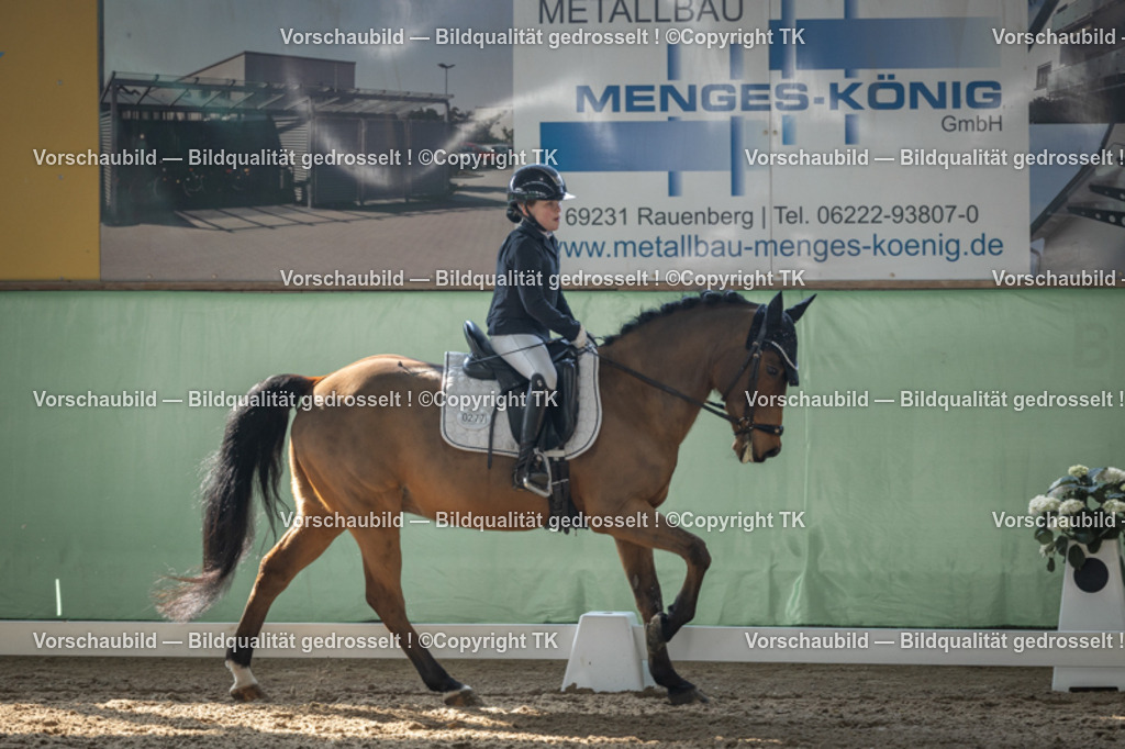 _D5A8554 | Emotionale Pferde- & People-Fotografie rund um Heidelberg, Leimen & Umgebung. Natürliche Fotos von Pferd, Mensch & Familie. Jetzt Termin sichern!
