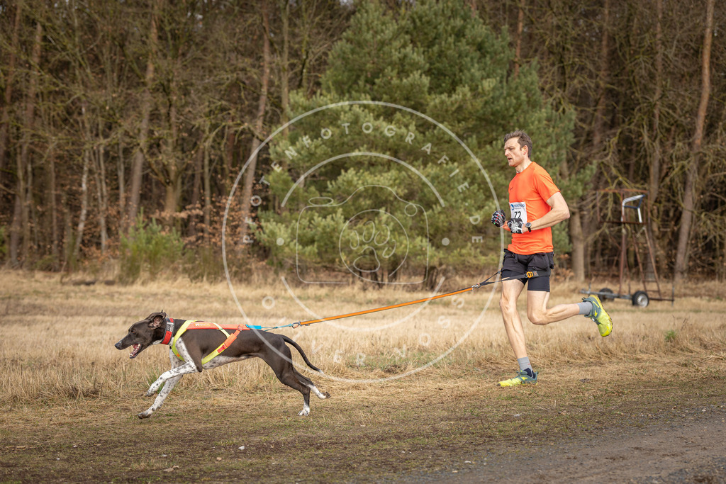 DV3A3661 | Hundefotografie, Tierfotograf, Pfotenfotografie, Fotoshooting Hund, Hunde Portrait, Hundesport, Hundeportraits, Heideshooting, Hunde, Sportfotograf, Hundefotograf, Turnierhundsport, THS,  - Realisiert mit Pictrs.com