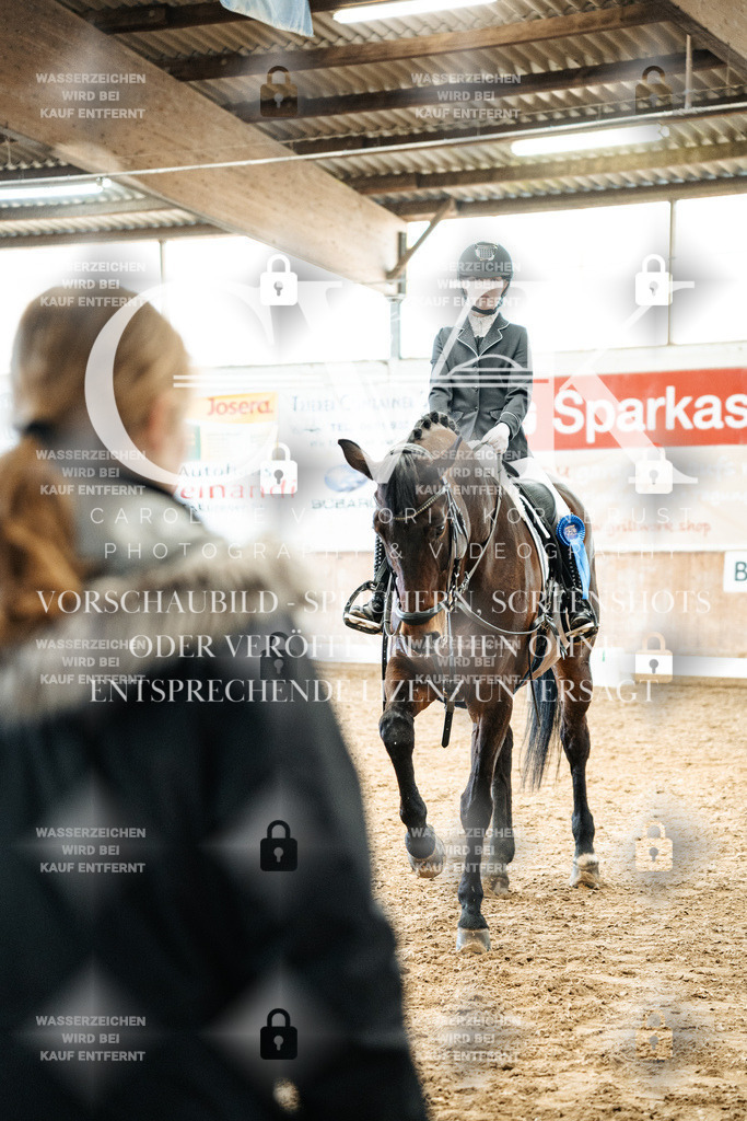 CK703101 | Turnierfotografie Pferdefotografie Trier Rheinland-Pfalz Pferdesport Reitsport Tierfotografie Sportfotografie Pferdevideo Pferdevideografie Equestrianvideography equestrianphotography  - Realized with Pictrs.com