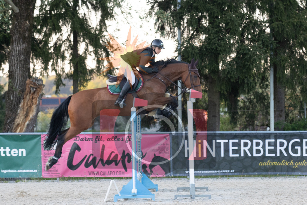 IMG_4296 | kraqueboom - Realisiert mit Pictrs.com