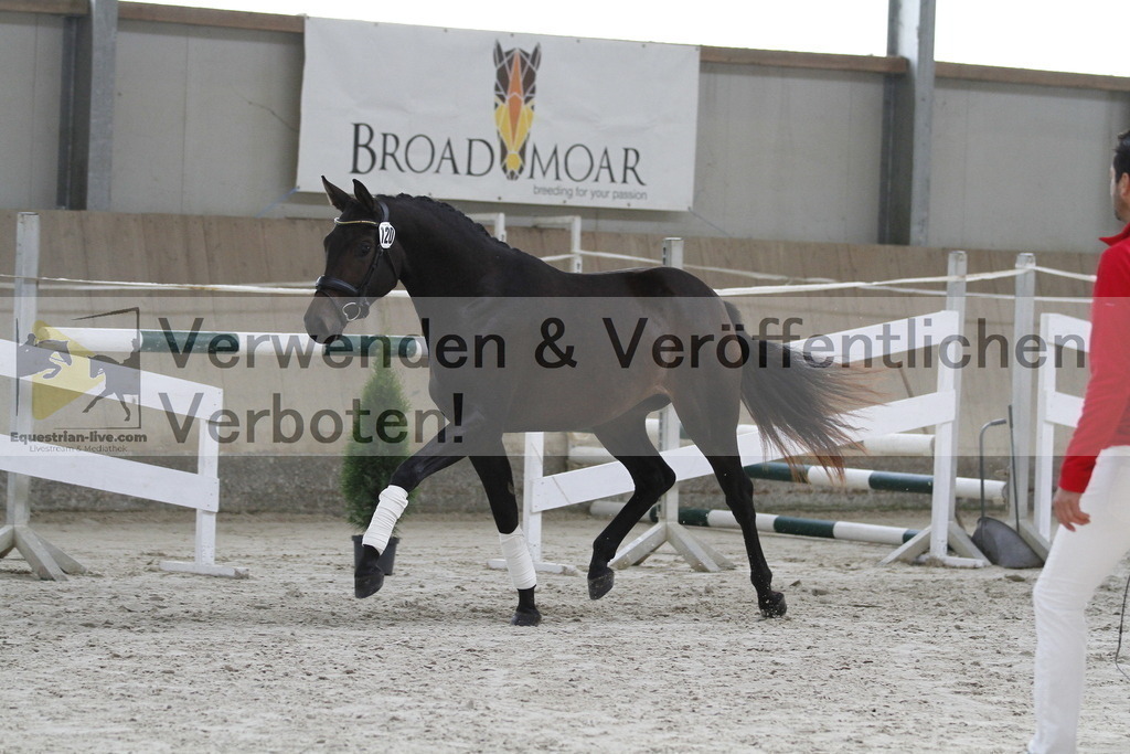 _MG_9451 | equestrian-live-com