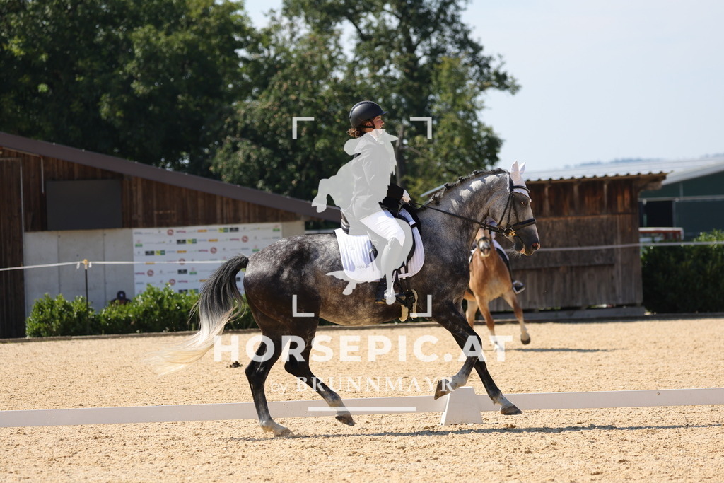 0P6A1346 | Willkommen bei Brunnmayr - Design & Fotografie – Ihrem Spezialisten für Reitturniere und Pferdeveranstaltungen in Oberösterreich, Salzburg und Bayern! Seit über 17 Jahren sind wir leidenschaftlich dabei.