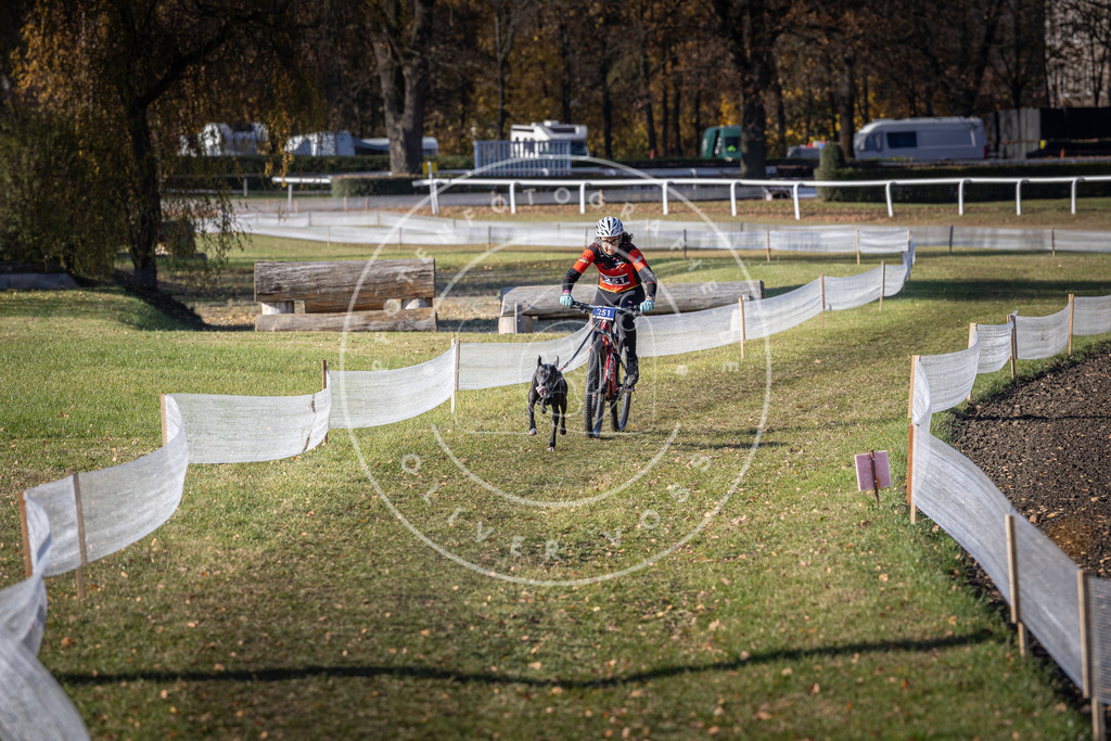 CaniXpix_DV3A4564 | Hundefotografie, Tierfotograf, Pfotenfotografie, Fotoshooting Hund, Hunde Portrait, Hundesport, Hundeportraits, Heideshooting, Hunde, Sportfotograf, Hundefotograf, Turnierhundsport, THS,  - Realisiert mit Pictrs.com