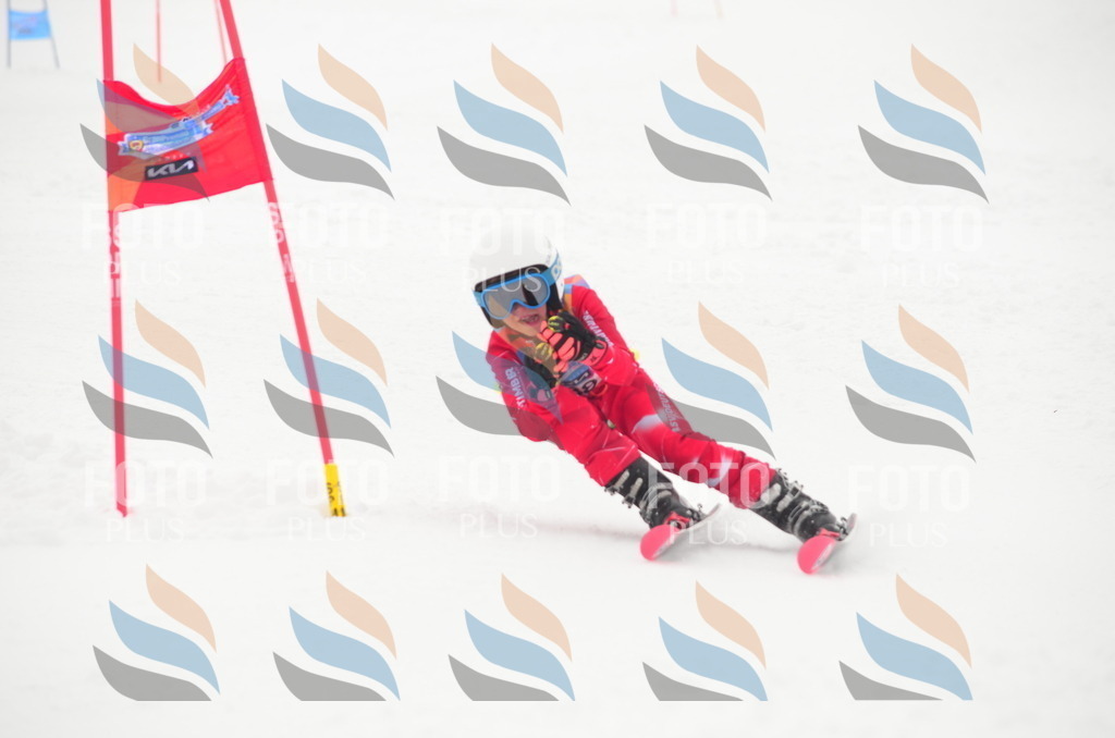 C1766 | holidayphoto