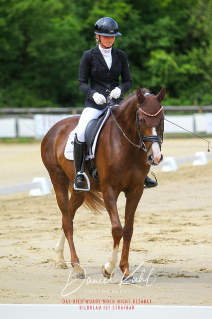 DKP46193 | Turniersportfotografie; Pferdefotografie; Dressurfotografie