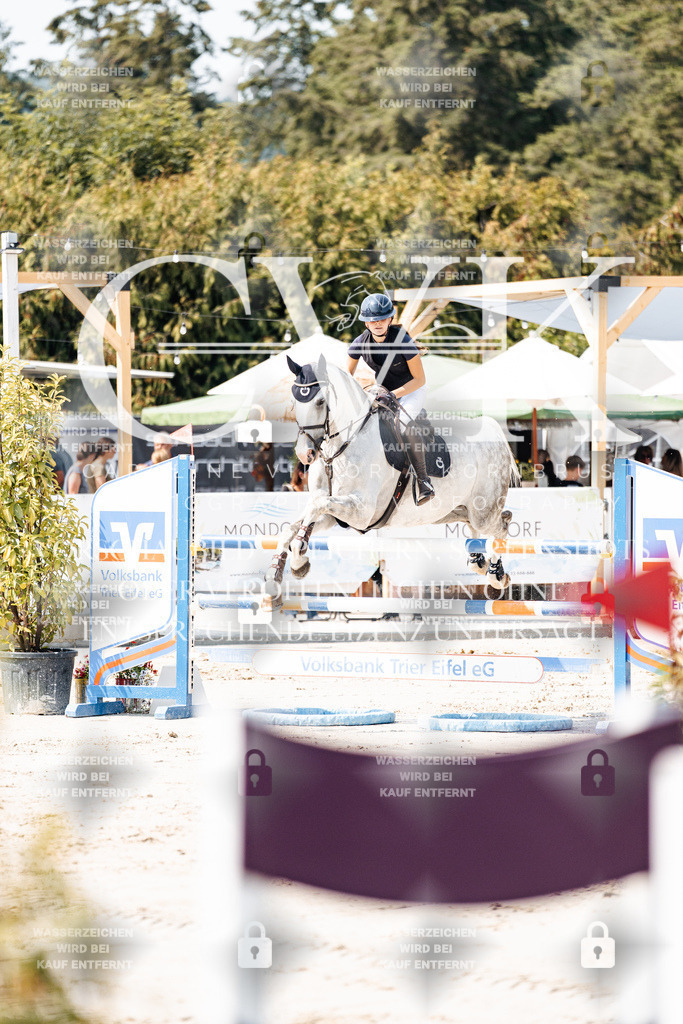 CK901404 | Turnierfotografie Pferdefotografie Trier Rheinland-Pfalz Pferdesport Reitsport Tierfotografie Sportfotografie Pferdevideo Pferdevideografie Equestrianvideography equestrianphotography  - Realisiert mit Pictrs.com