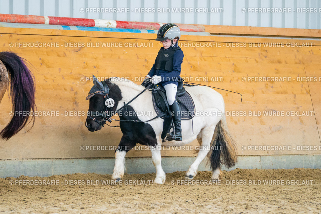 DSC01278 | Pferdegrafie