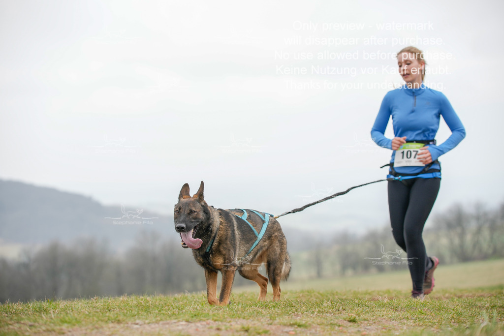 Canixlong-422 | stephaniefillaphotographie - Realisiert mit Pictrs.com