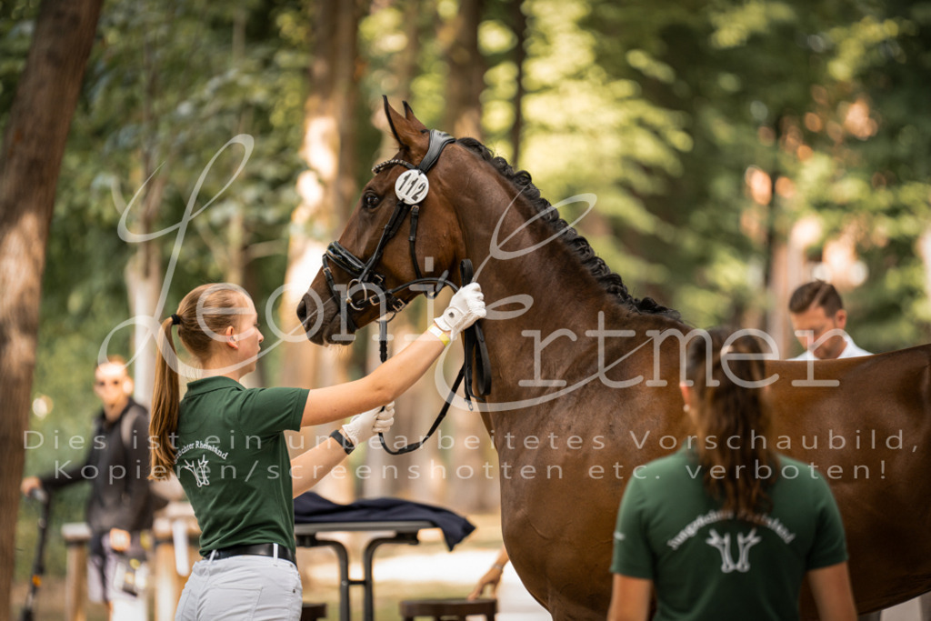 FrPfM00136 | Leoni Ertmer Photography - Realisiert mit Pictrs.com