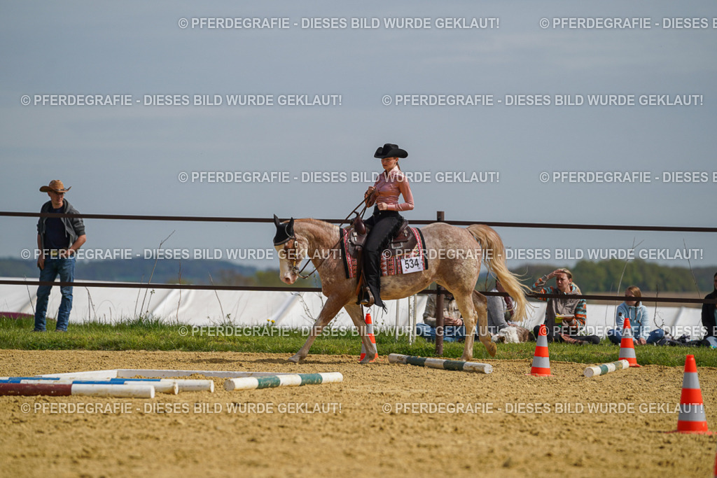 DSC04154 | Pferdegrafie