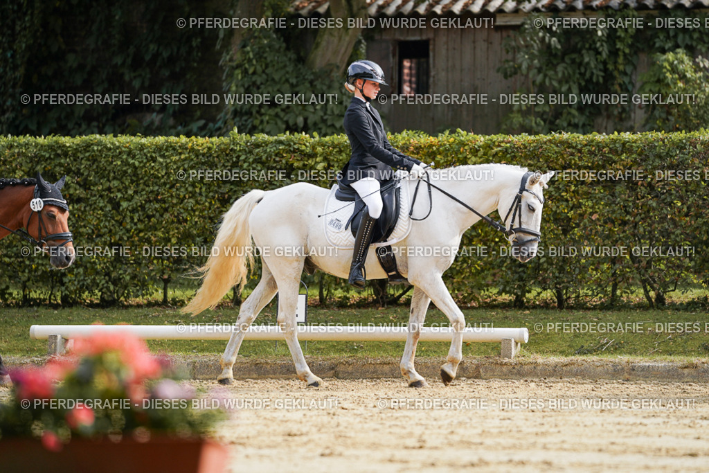 DSC04694 | Pferdegrafie