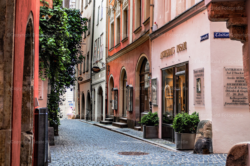 P1160751 | beatekidd-fotografie - Realisiert mit Pictrs.com