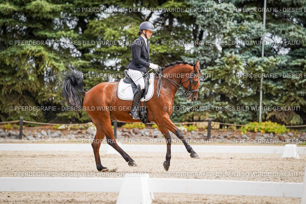 DSC03735 | Pferdegrafie