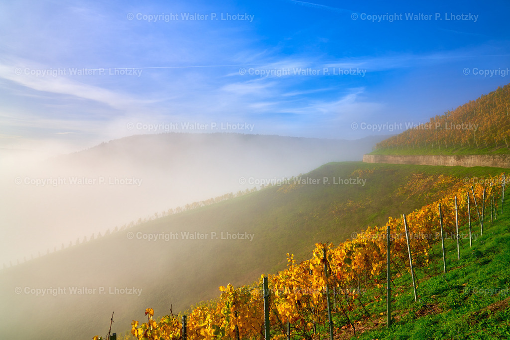 LHO09732 | wlstudio - Realisiert mit Pictrs.com