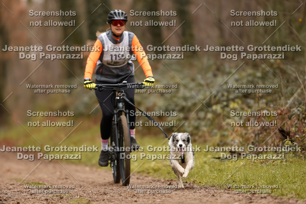 Dog Paparazzi - Speedhunter Mannheim  2025-329 | Dog Paparazzi Jeanette Grottendiek Fotografie & Videografie