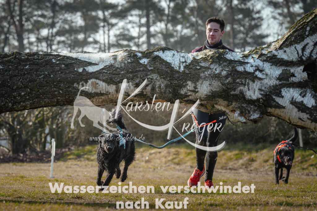 1000_ZZ90565 | kk-dogfotos