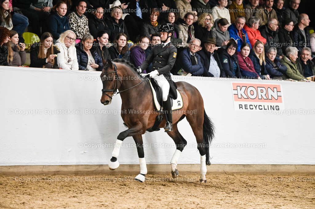 20260307_Hengstvorstellung-Marbach_0349 | equistock