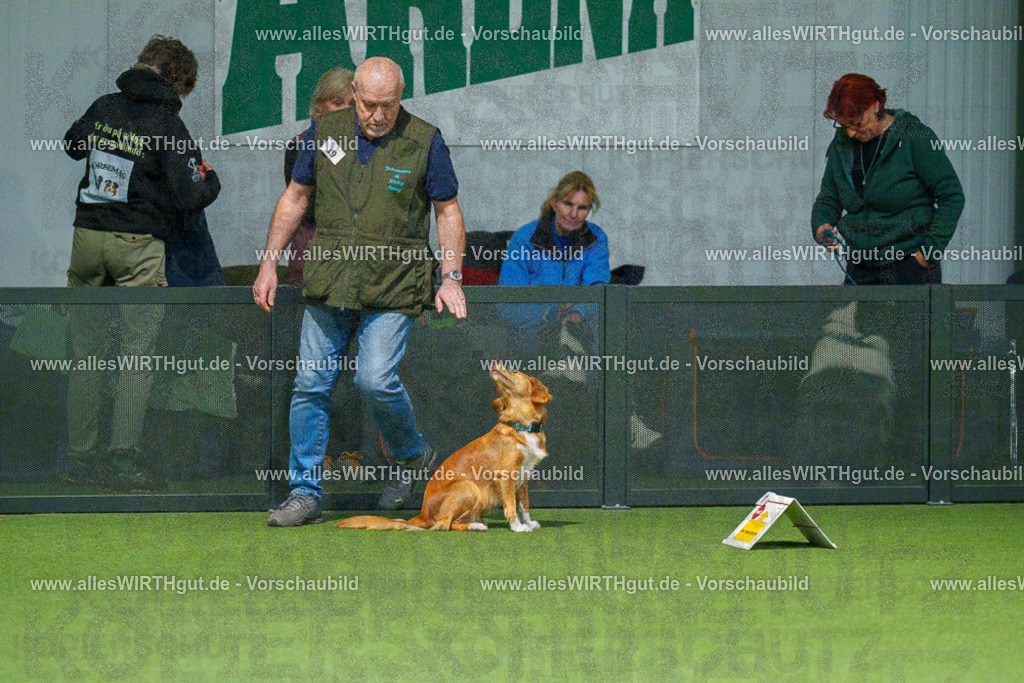 7R504514 | Professionelle Tierfotografie in Mönchengladbach von Daniel Wirth (allesWIRTHgut). Liebevolle & natürliche Bilder von Hunden & Katzen für unvergessliche Erinnerungen.